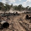 Maraknya Pertambangan Rakyat & Koperasi Pengelolaan Hutan Tanpa Izin di 8 Kabupaten dan 1 Kota Provinsi Papua