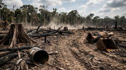 Maraknya Pertambangan Rakyat & Koperasi Pengelolaan Hutan Tanpa Izin di 8 Kabupaten dan 1 Kota Provinsi Papua